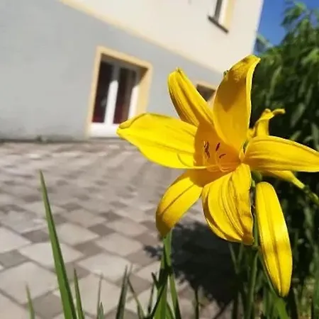 Apartamento Haus Am Apfelbaum Bad Säckingen Exterior foto