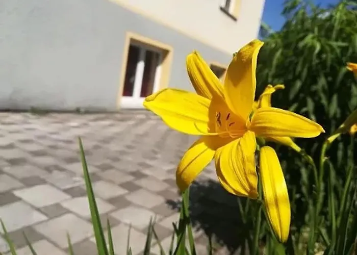 Haus Am Apfelbaum
